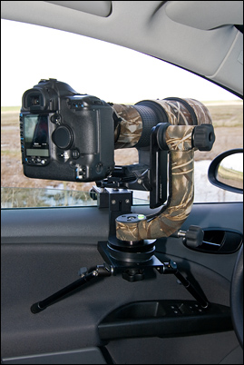 Burzynsky Autoscheibenstativ - window mount