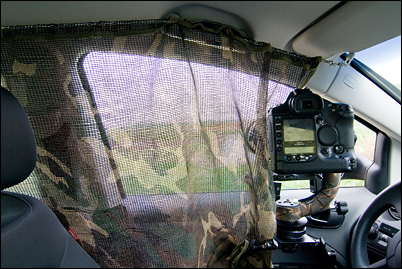Autofenster Tarnung innen